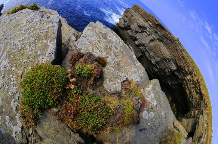 Majestic Cliffs