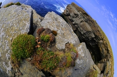 Majestic Cliffs