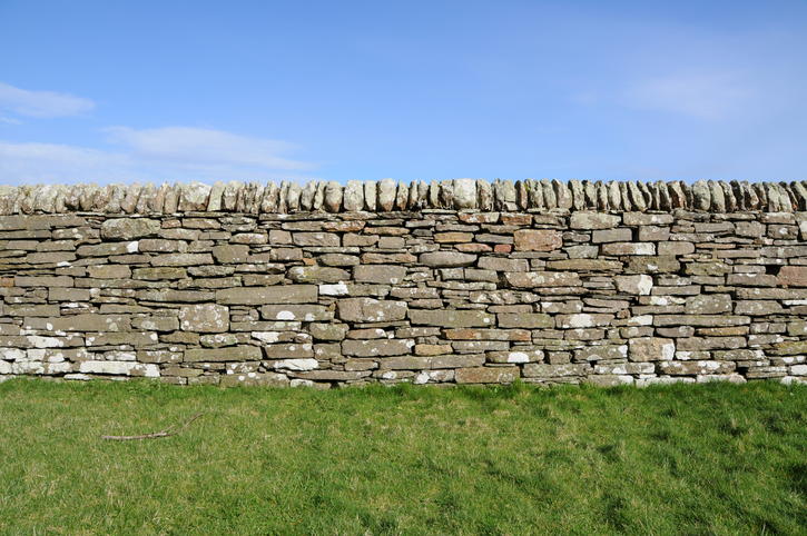 Wall