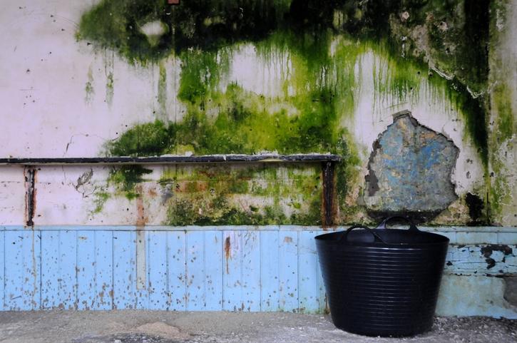 Rain in the Bucket No More