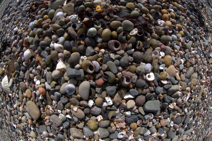 Pick 'n' Mix