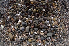 Pick 'n' Mix