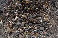 Pick 'n' Mix