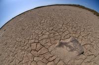 Cracked Earth