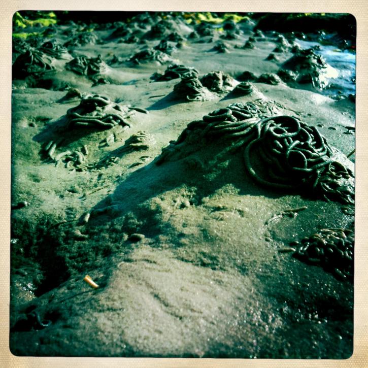 The Sands of Woo