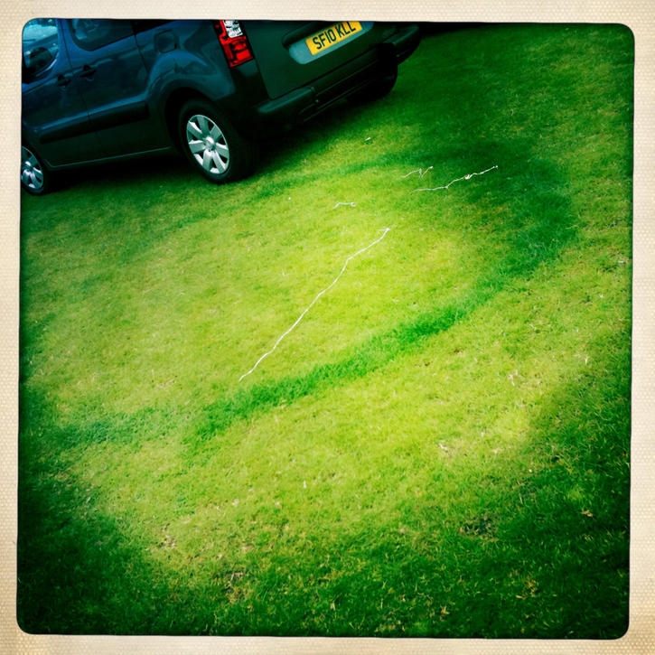 Fungus Fairy Rings Fungus Fairy Rings
