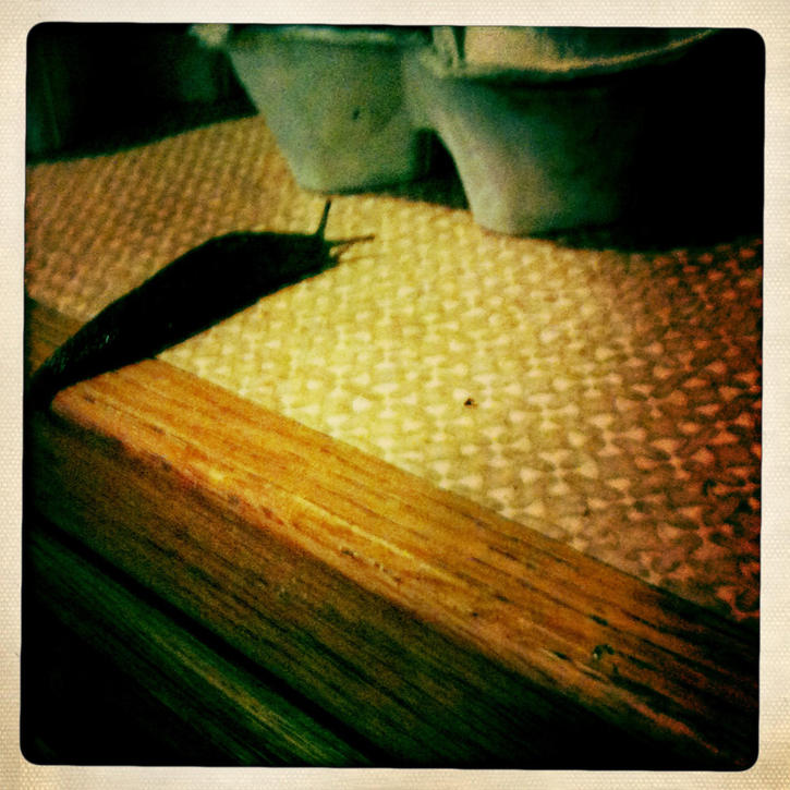 Slugs and Fine China Slugs and Fine China