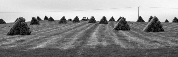 Making Hay