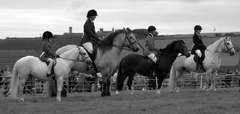 Line Up