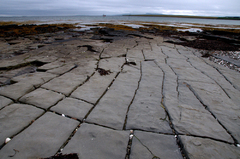 They call it flagstone...
