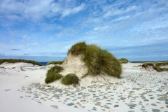 Wind Swept Away