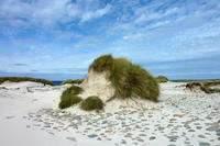 Wind Swept Away