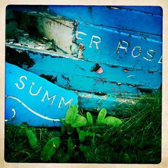 Summer Rose