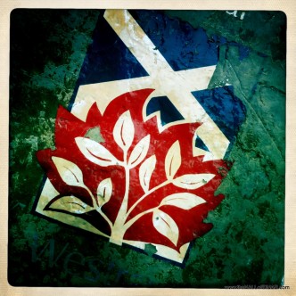 The Saltire and the burning bush