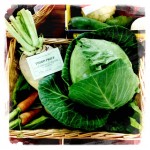 Prizewinning vegetables