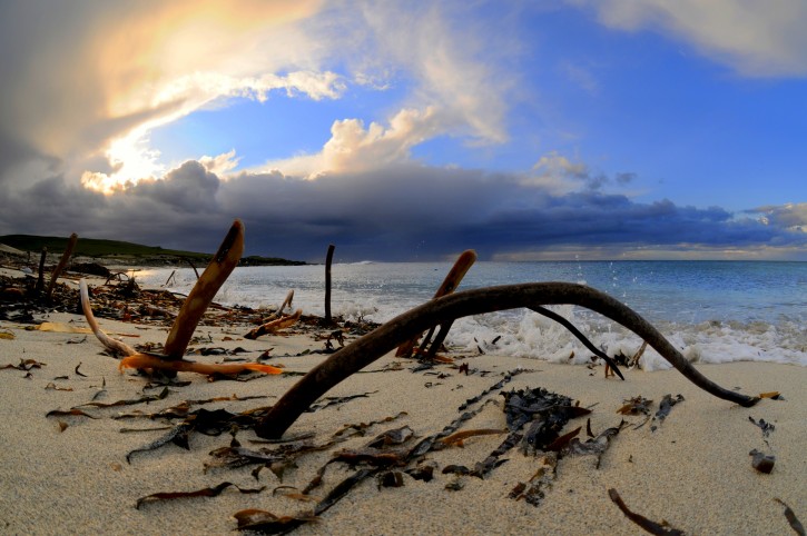 Grobust on Westray - Photograph Copyright David Bailey 2009