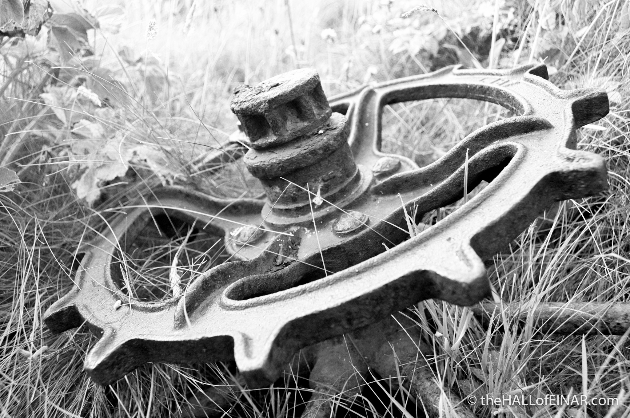 Rusting in the grass - photograph (c) 2016 David Bailey (not the)