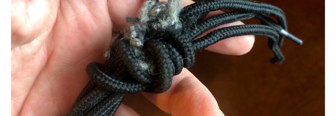 Mice nibble shoe laces