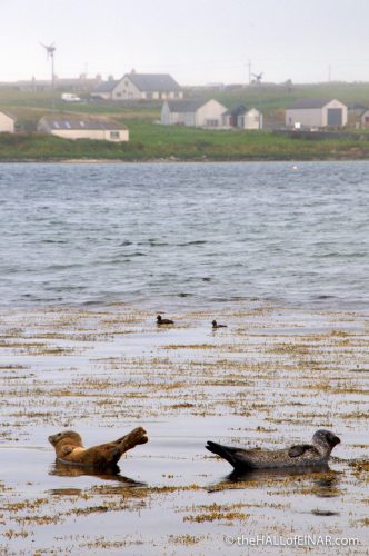 We're not talking - photograph (c) 2016 David Bailey (not the)