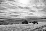 Tractor in the field - photograph (c) 2016 David Bailey (not the)