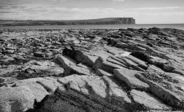 Use your imagination - the Brough of Birsay - (c) 2016 David Bailey (not the)