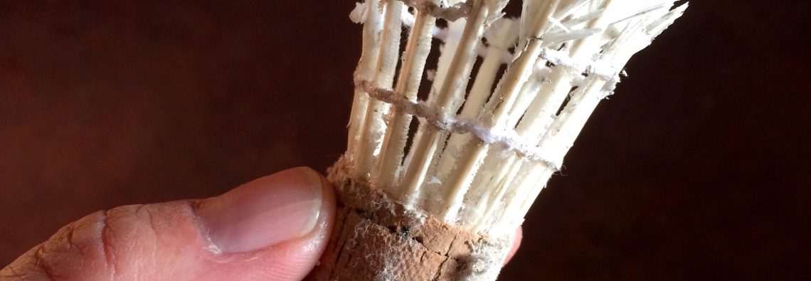 Mice nibble - The Hall of Einar - photograph (c) 2016 David Bailey (not the)