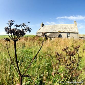 Roadmire - photograph (c) 2016 David Bailey (not the)