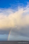 Noup Head Rainbow - photograph (c) 2016 David Bailey (not the)
