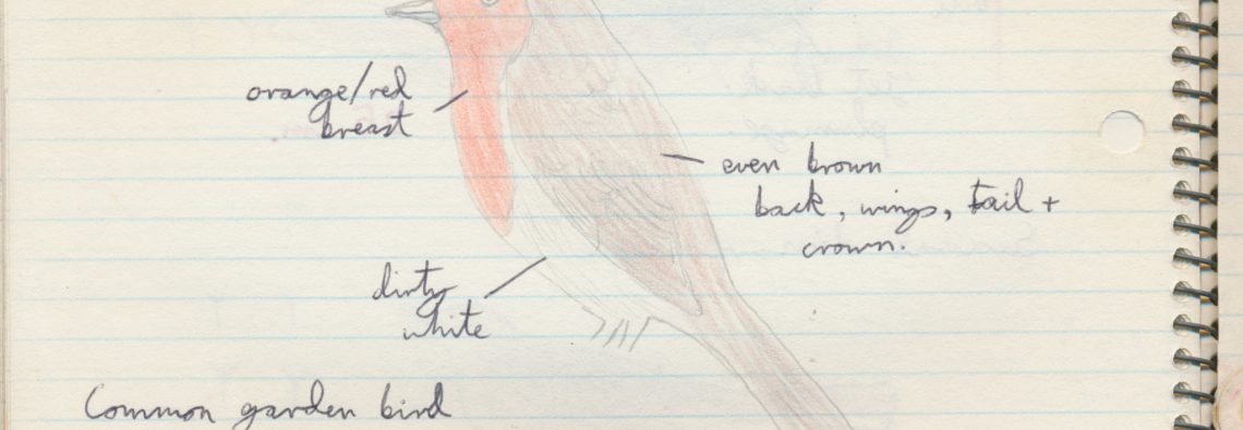 Robin - The Hall of Einar - photograph (c) 2016 David Bailey (not the)