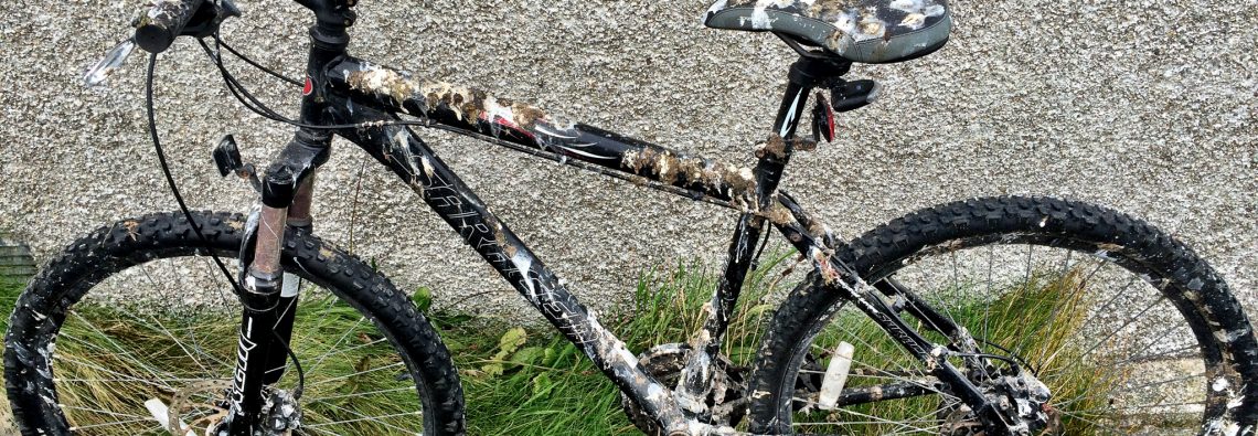 Guano bicycle - The Hall of Einar - photograph (c) David Bailey (not the)