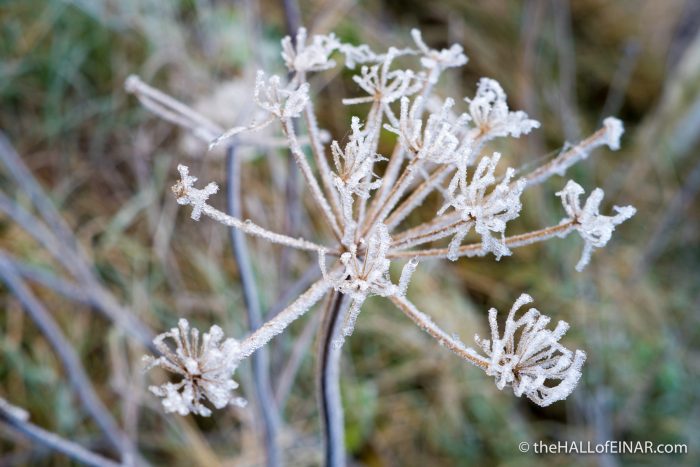Frozen - The Hall of Einar - photograph (c) David Bailey (not the)