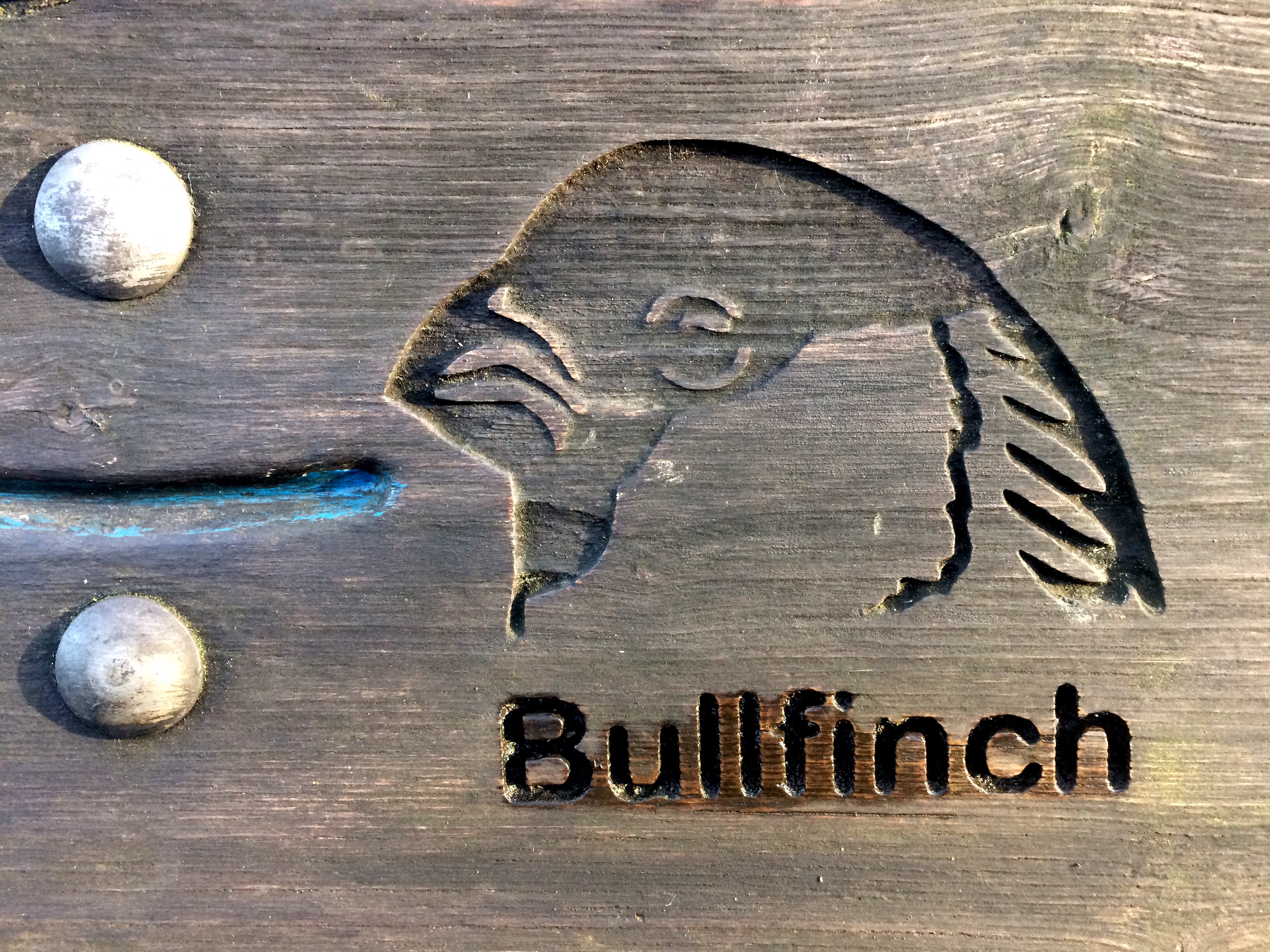 Bullfinch - The Hall of Einar - copyright David Bailey (not the)