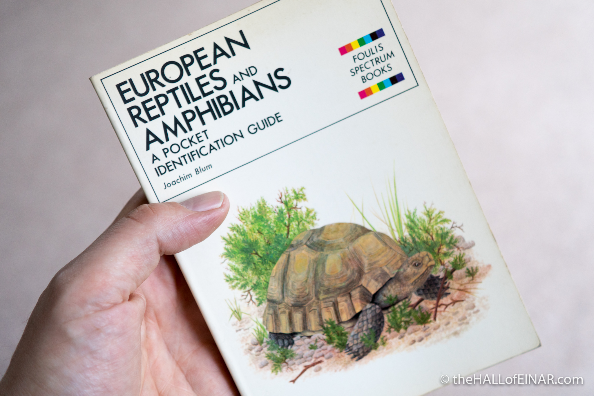 European Reptiles and Amphibians - The Hall of Einar