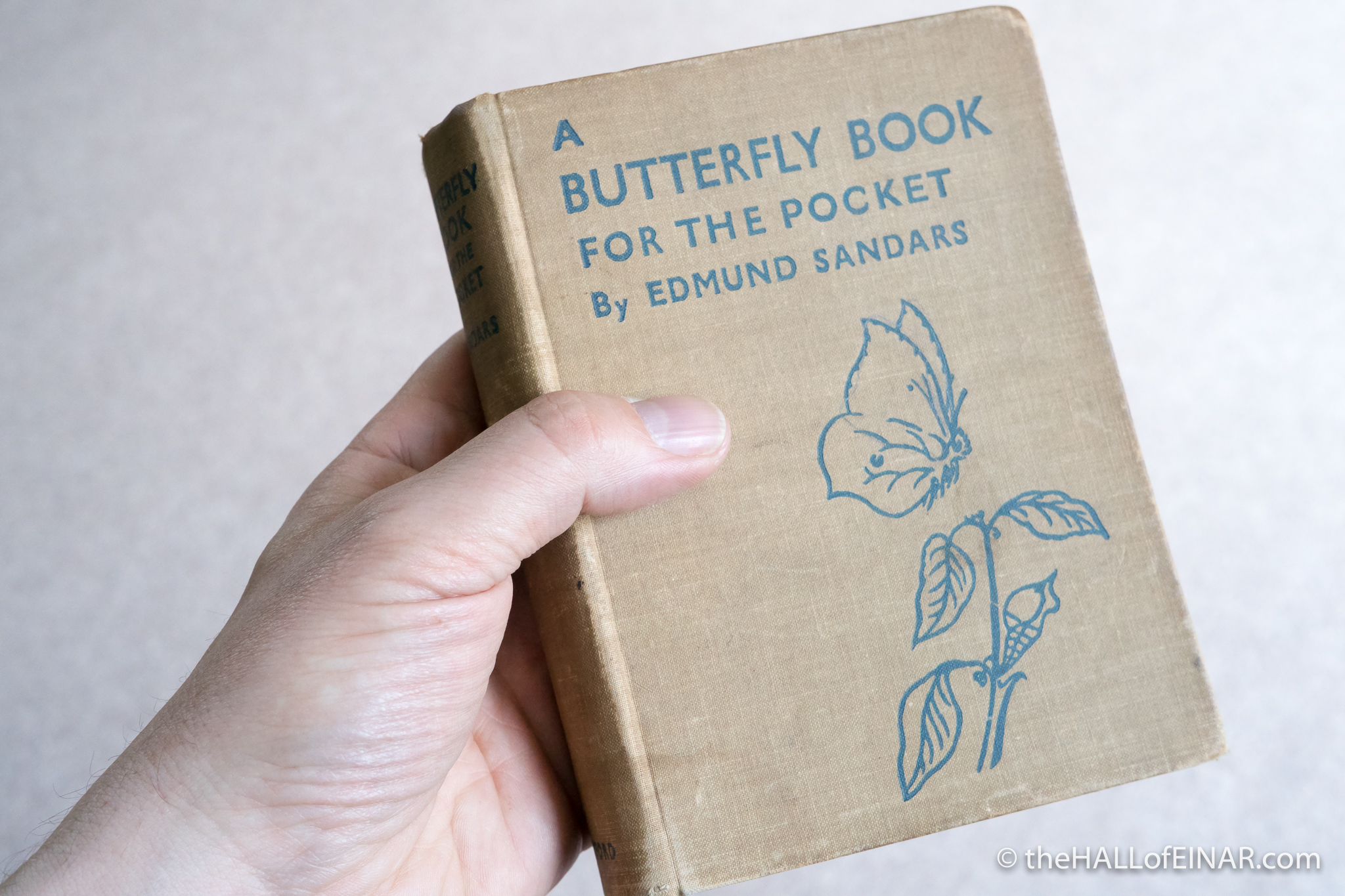 A Butterfly Book - Edmund Sandars - The Hall of Einar