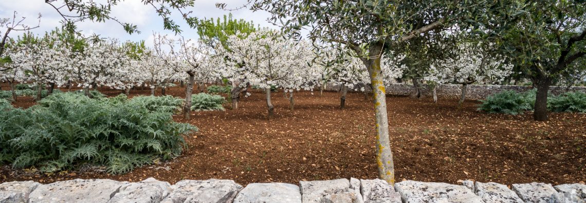 Heaven in a stony field - The Hall of Einar - photograph (c) David Bailey (not the)