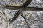 Westray rocks - The Hall of Einar - photograph (c) David Bailey (not the)