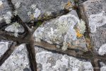 Westray rocks - The Hall of Einar - photograph (c) David Bailey (not the)