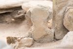 Bronze Age Bollards - The Hall of Einar - photograph (c) David Bailey (not the)