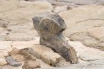 Bronze Age Bollards - The Hall of Einar - photograph (c) David Bailey (not the)