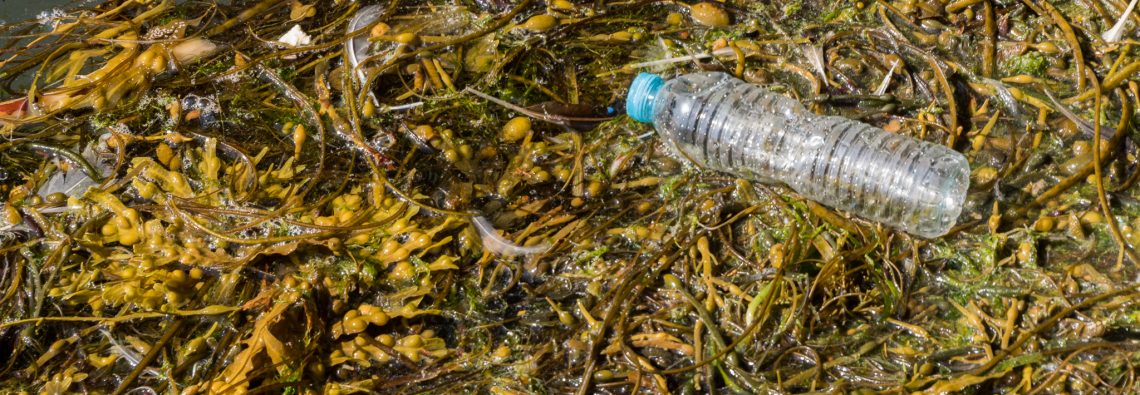 Plastic Bottles - The Hall of Einar - photograph (c) David Bailey (not the)