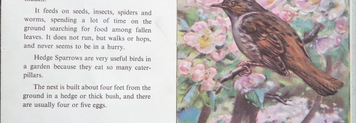 The Second Ladybird Book of British Birds - The Hedge Sparrow