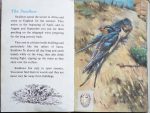 The Second Ladybird Book of British Birds - The Swallow