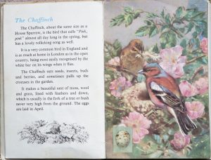 The Second Ladybird Book of British Birds - Chaffinch