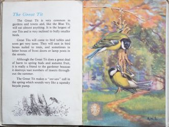 The Second Ladybird Book of British Birds - The Great Tit