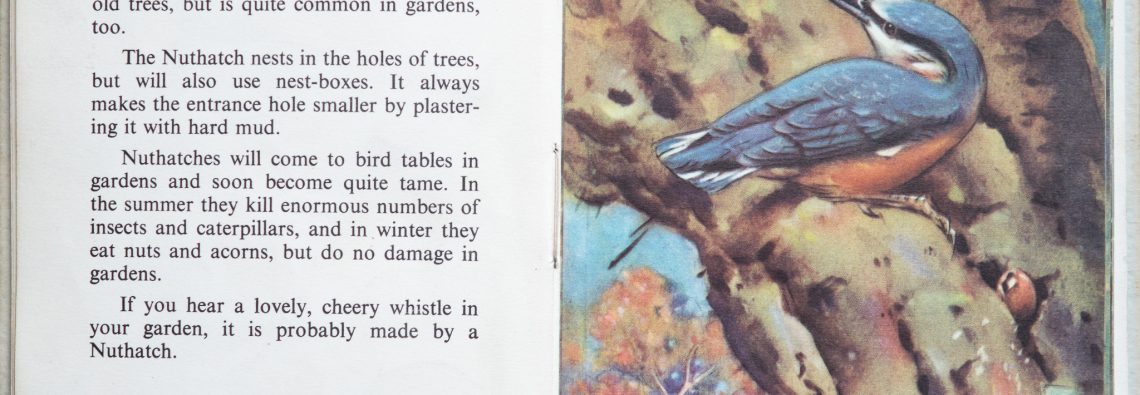 The Second Ladybird Book of British Birds - The Kingfisher