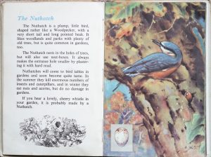 The Second Ladybird Book of British Birds - The Kingfisher