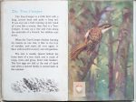 The Second Ladybird Book of British Birds - The Treecreeper