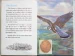 The Second Ladybird Book of British Birds - The Kestrel