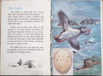 The Second Ladybird Book of British Birds - The Puffin