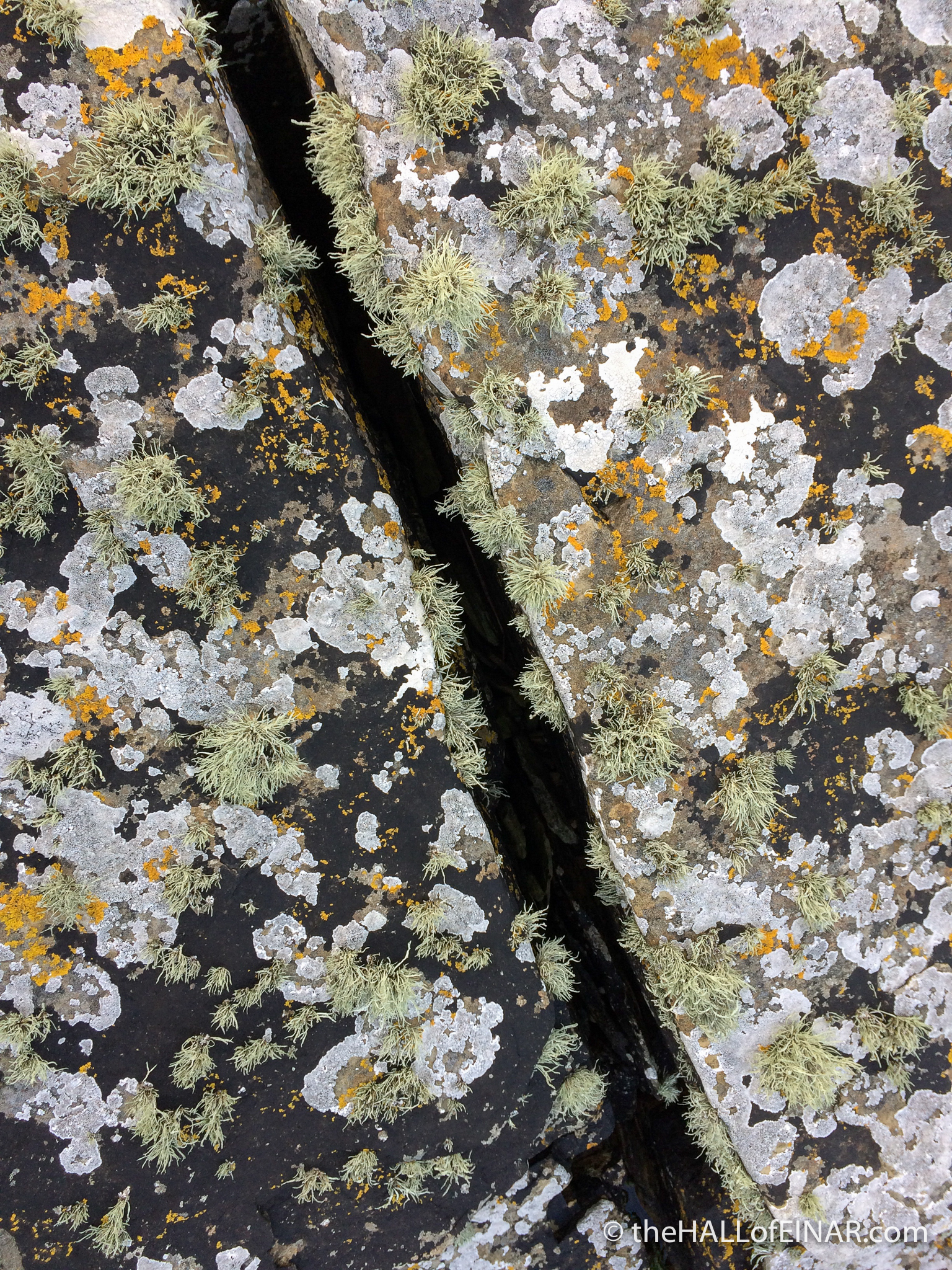 Lichen on the rocks - The Hall of Einar - photograph (c) David Bailey (not the)